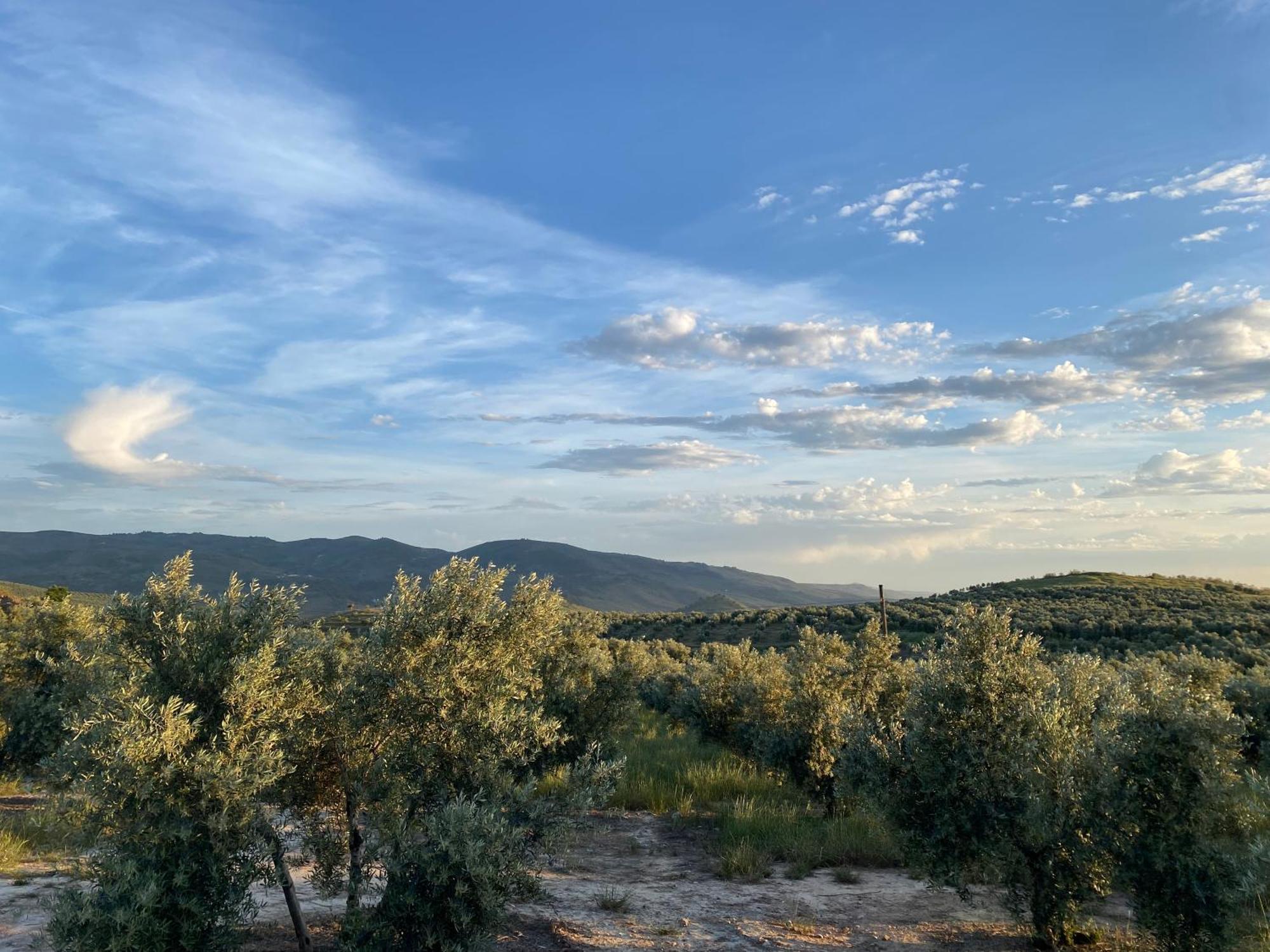 Hébergement de vacances Casa Sierra